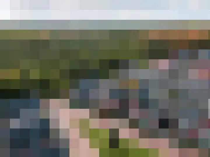 Dassenburcht 3 't Harde thumbnail 46