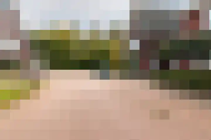Dassenburcht 3 't Harde thumbnail 47