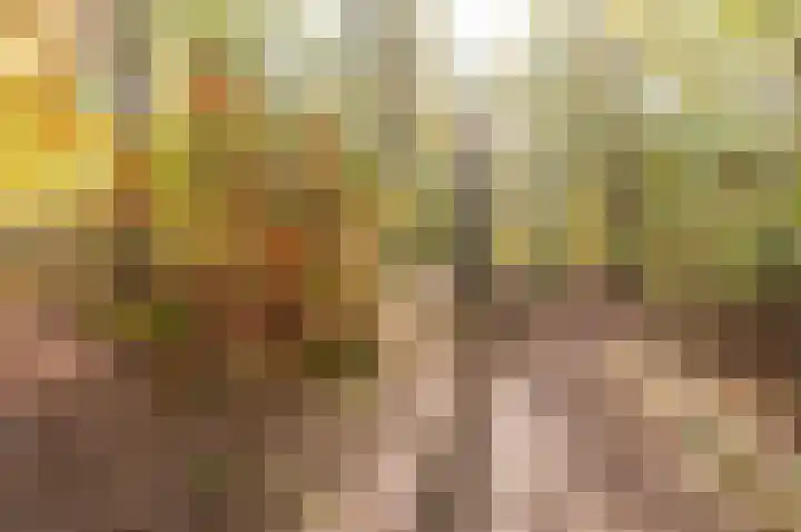 Dassenburcht 3 't Harde thumbnail 48