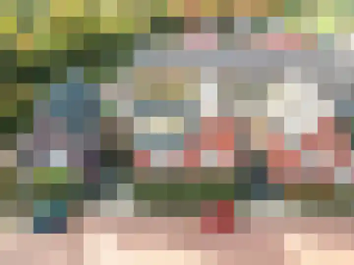 Dassenburcht 3 't Harde thumbnail 6