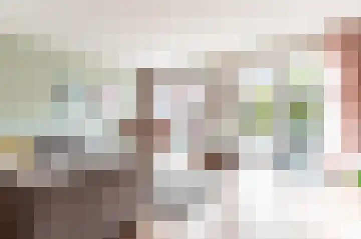 Dassenburcht 3 't Harde thumbnail 8