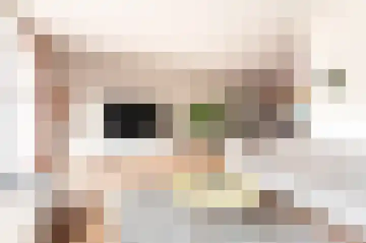Dassenburcht 3 't Harde thumbnail 9