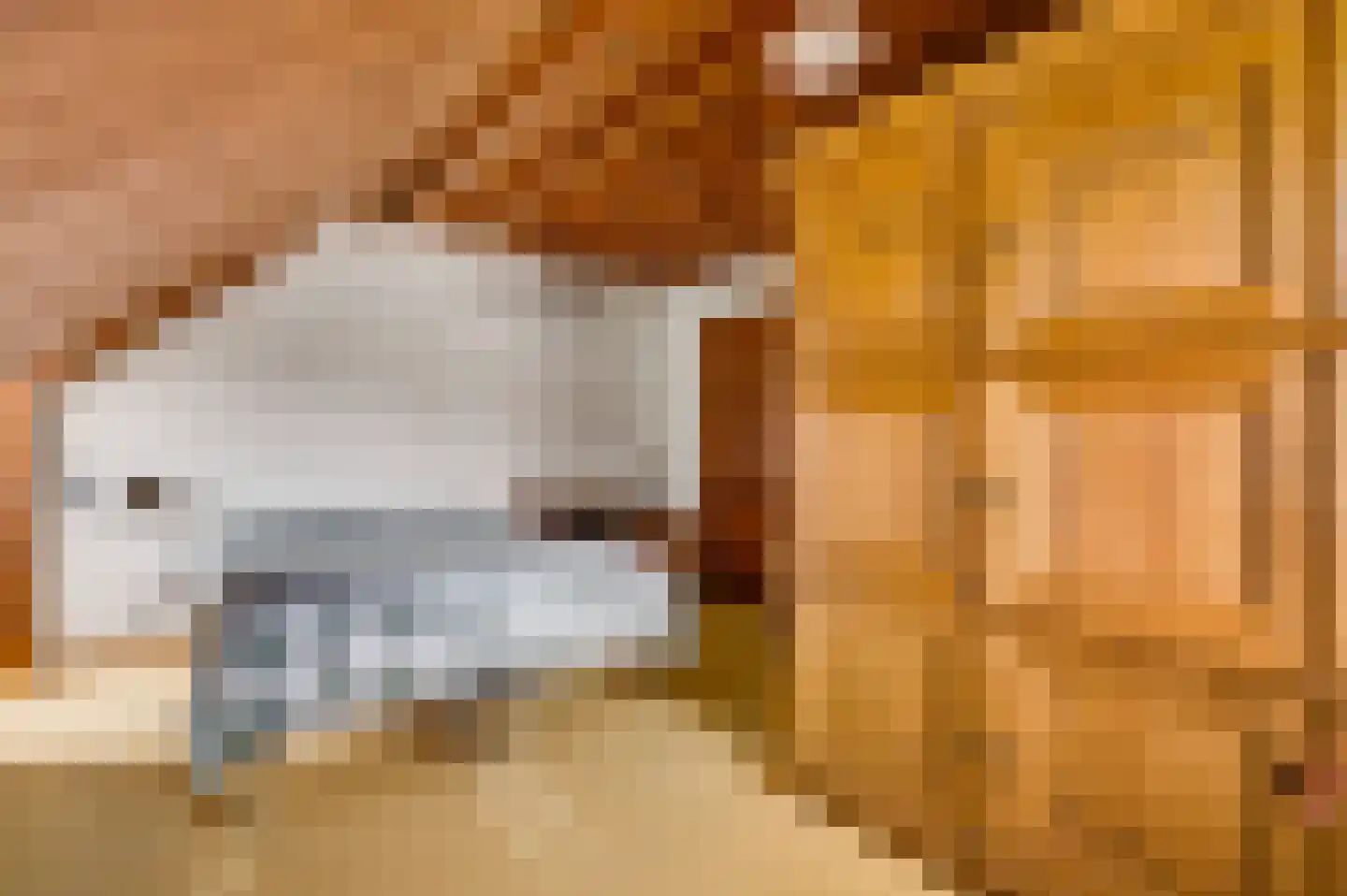 Dassenburcht 32 Beek thumbnail 12