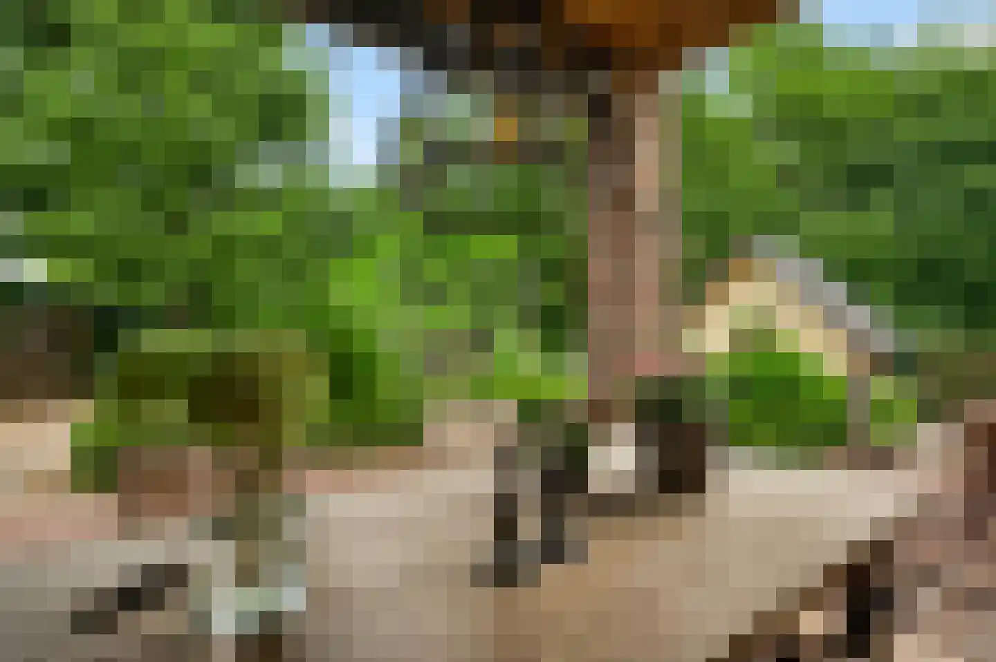 Dassenburcht 32 Beek thumbnail 23
