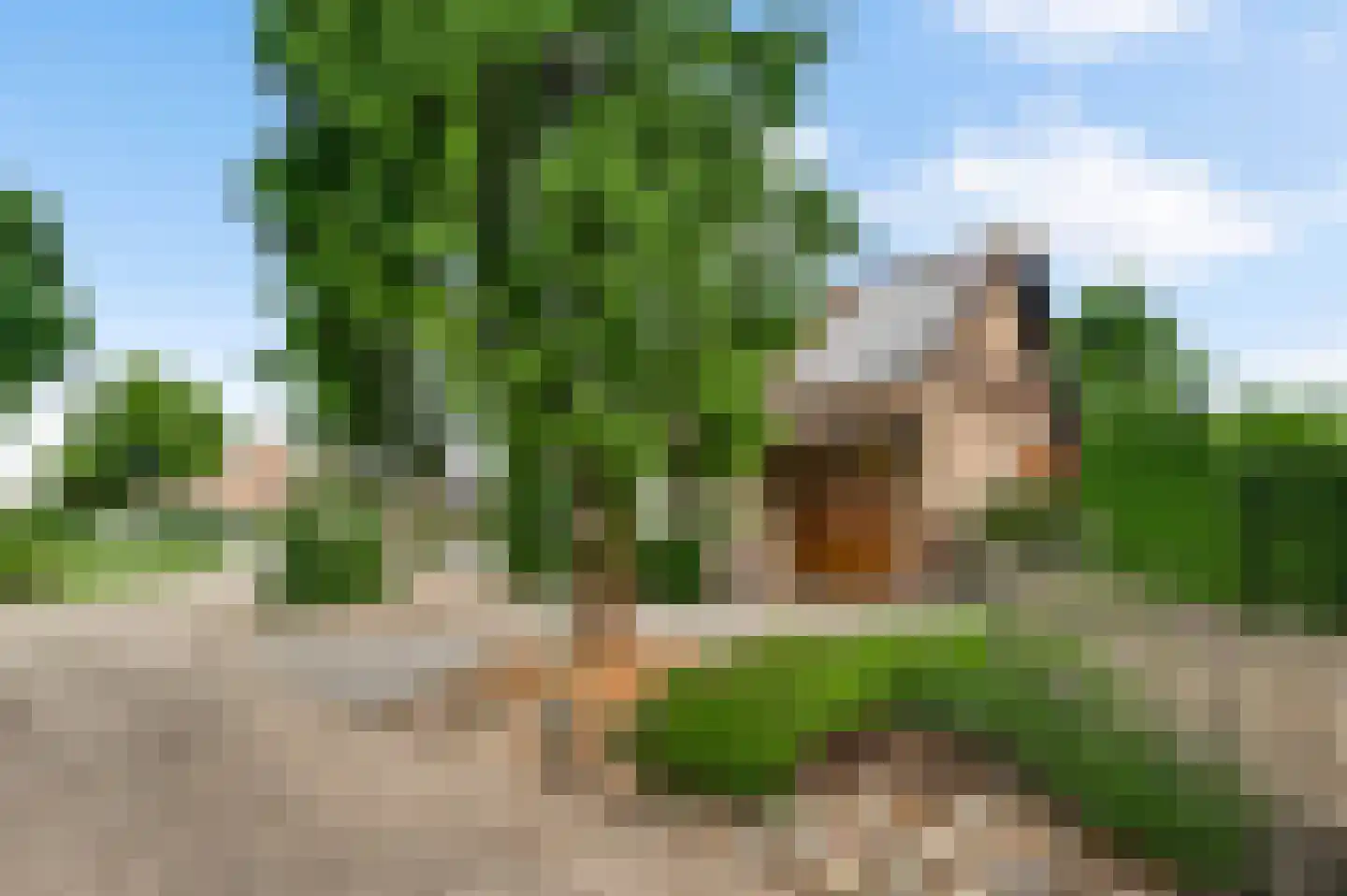 Dassenburcht 32 Beek thumbnail 25