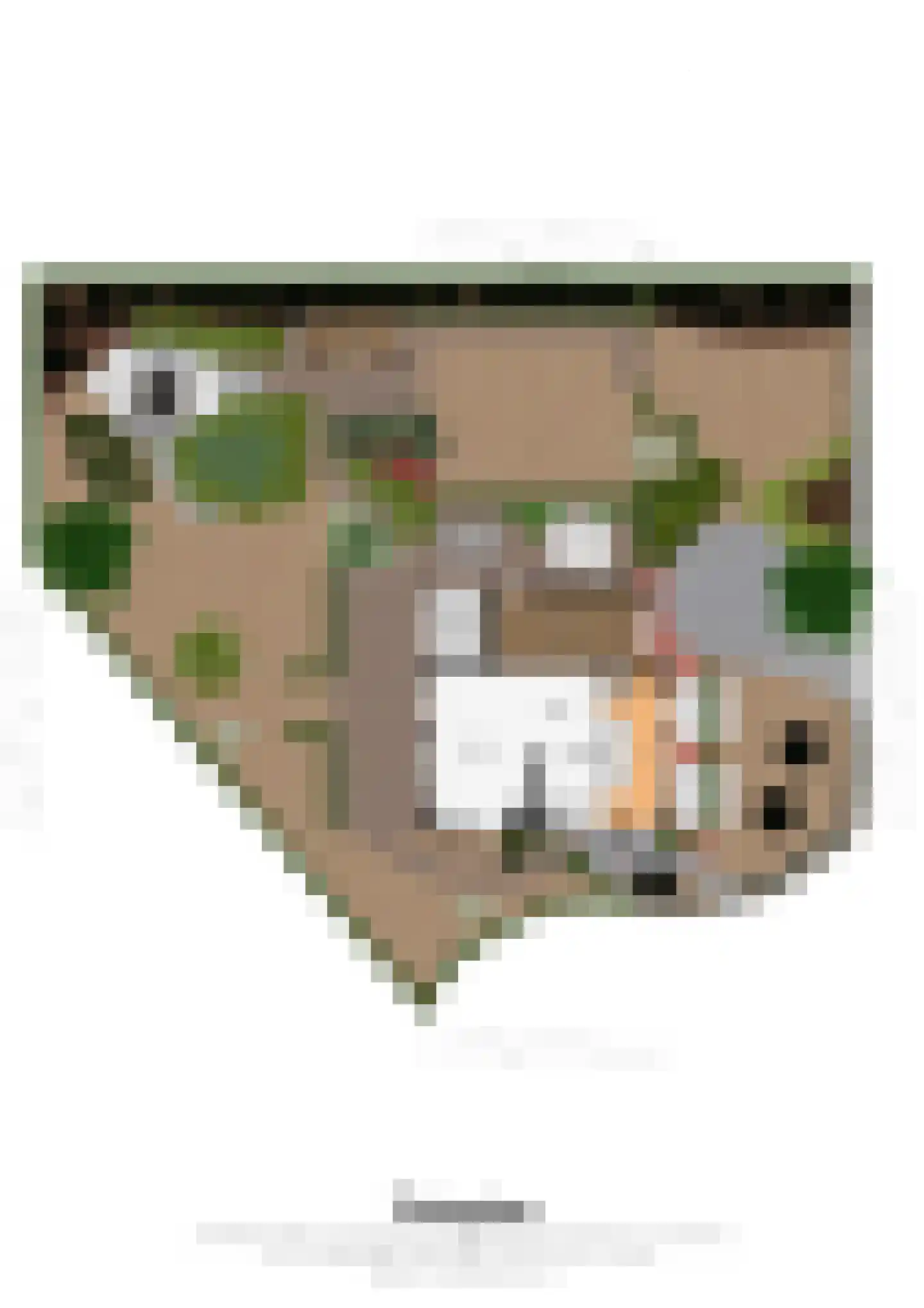 Dassenburcht 32 Beek thumbnail 26