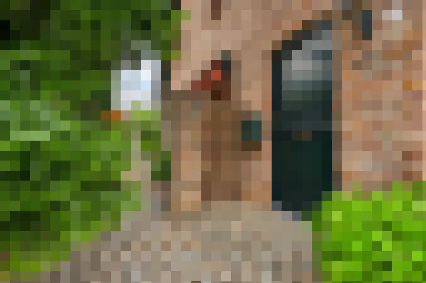 Dassenburcht 32 Beek thumbnail 5