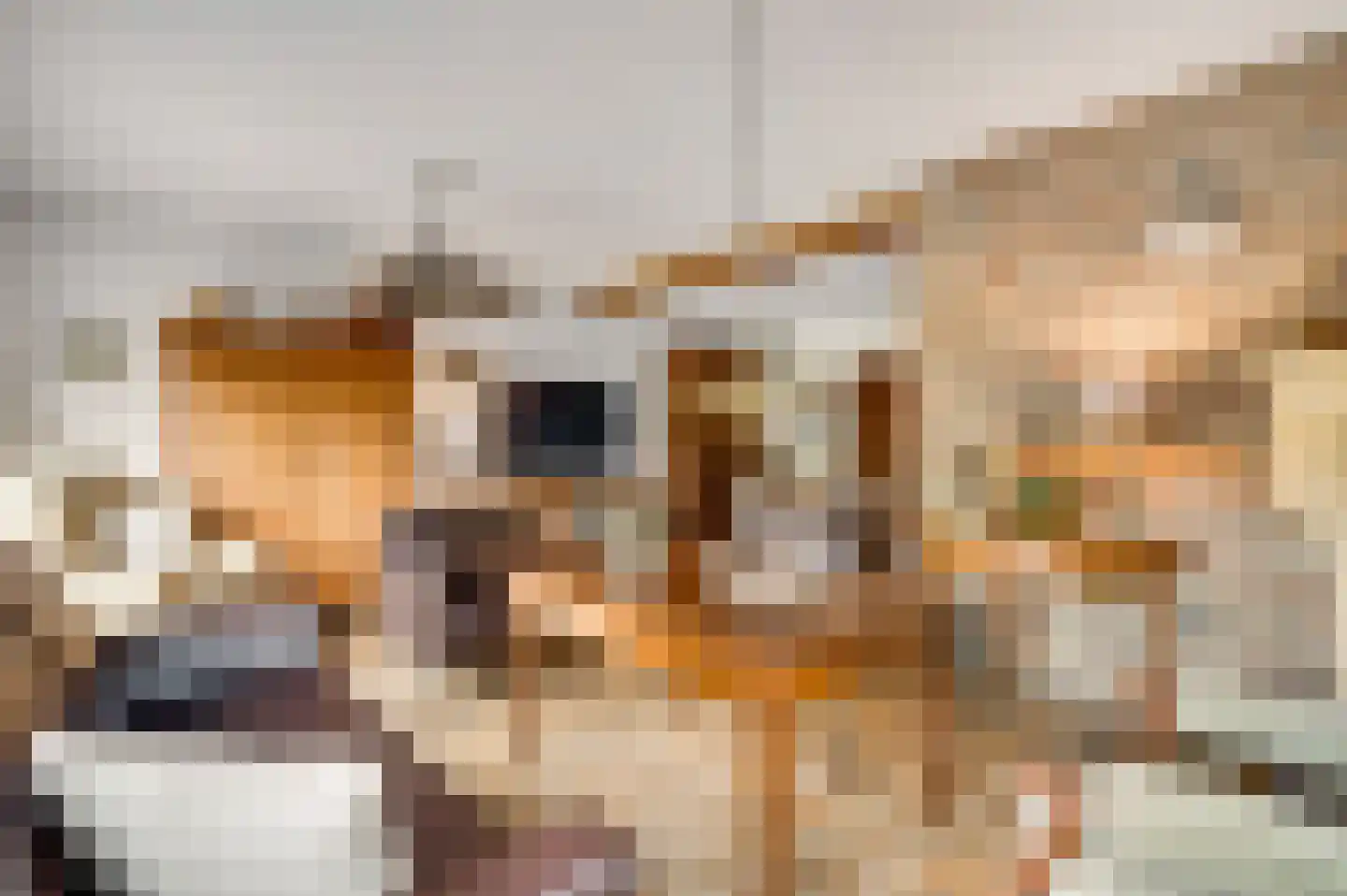 Dassenburcht 32 Beek thumbnail 7