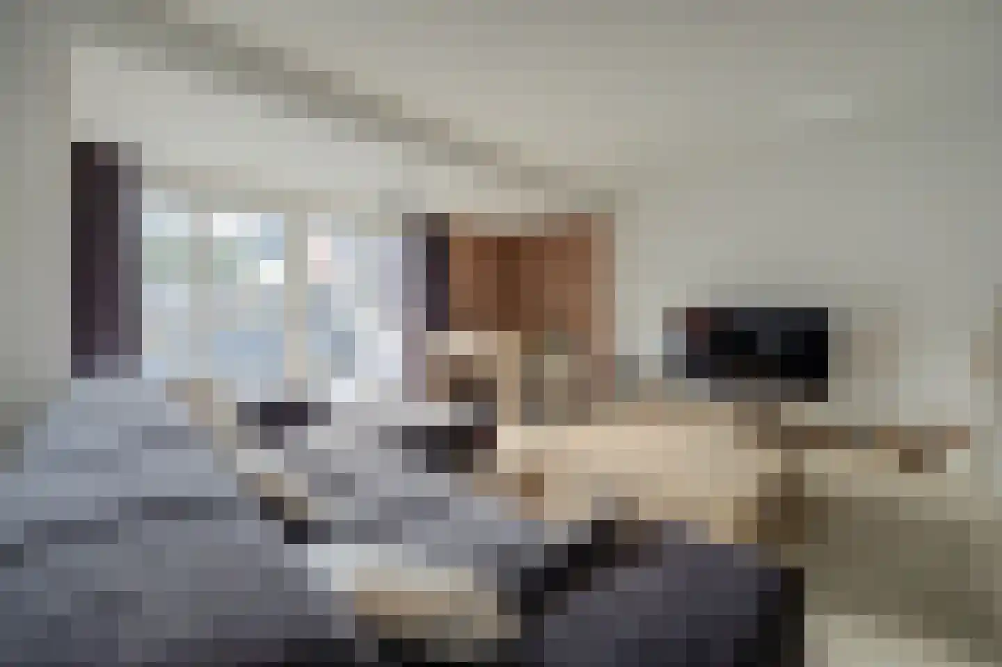 Dassenburcht 41 Cuijk thumbnail 10