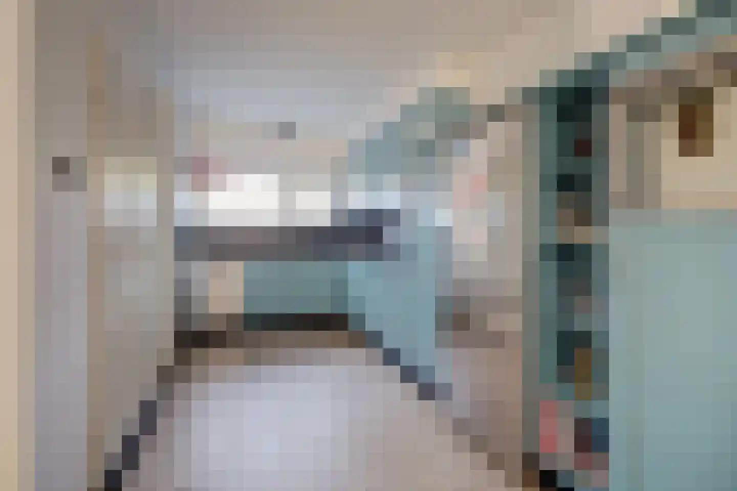Dassenburcht 41 Cuijk thumbnail 16