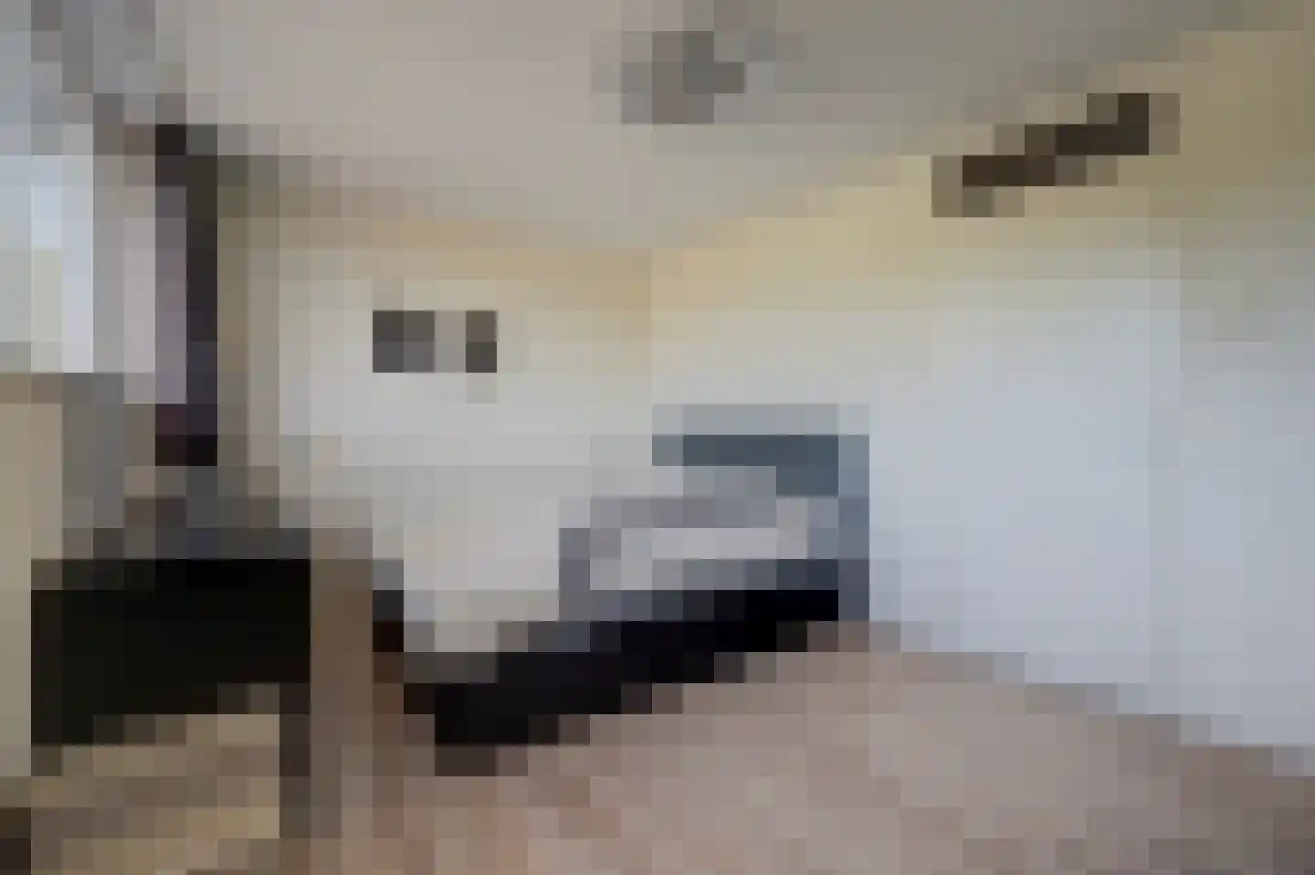 Dassenburcht 41 Cuijk thumbnail 21