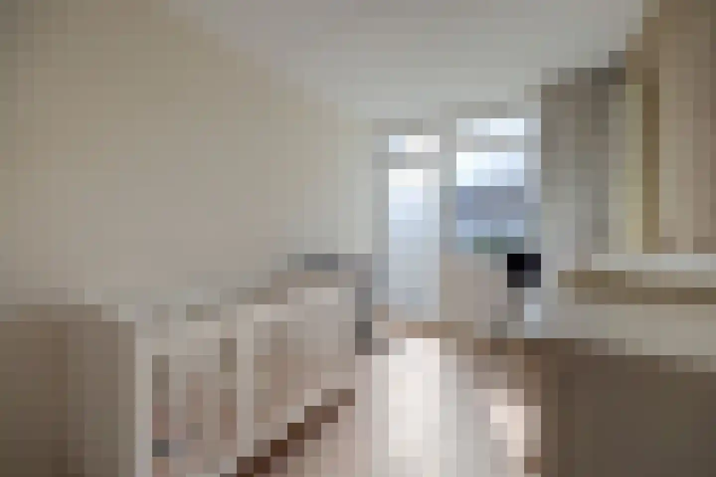 Dassenburcht 41 Cuijk thumbnail 25