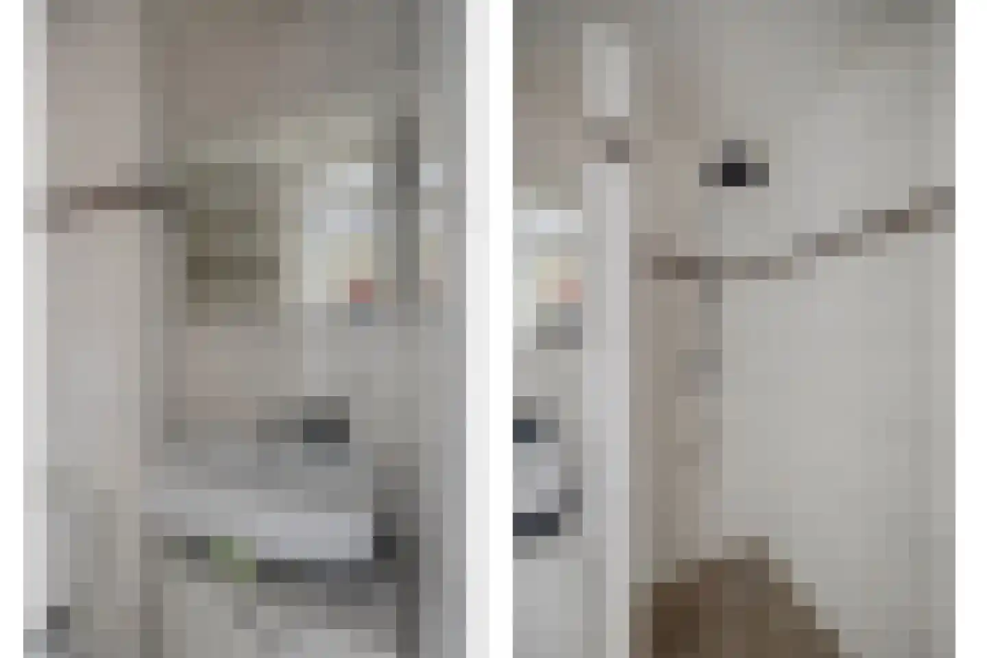 Dassenburcht 41 Cuijk thumbnail 30