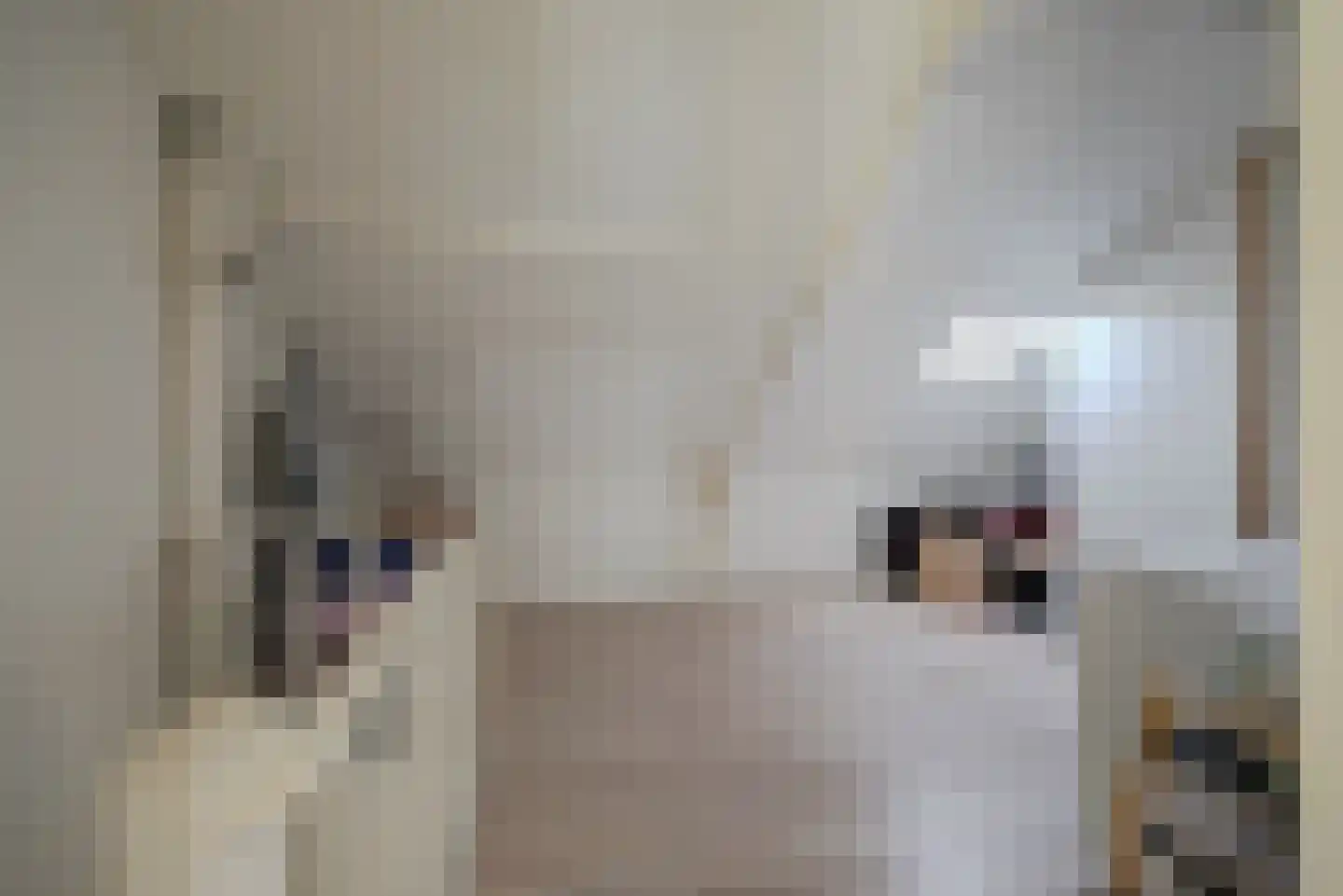 Dassenburcht 41 Cuijk thumbnail 33