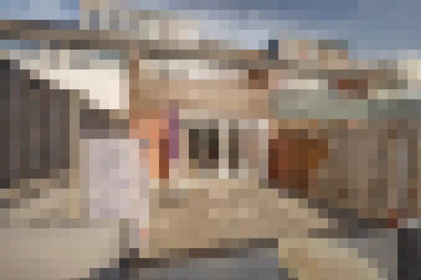 Dassenburcht 41 Cuijk thumbnail 39