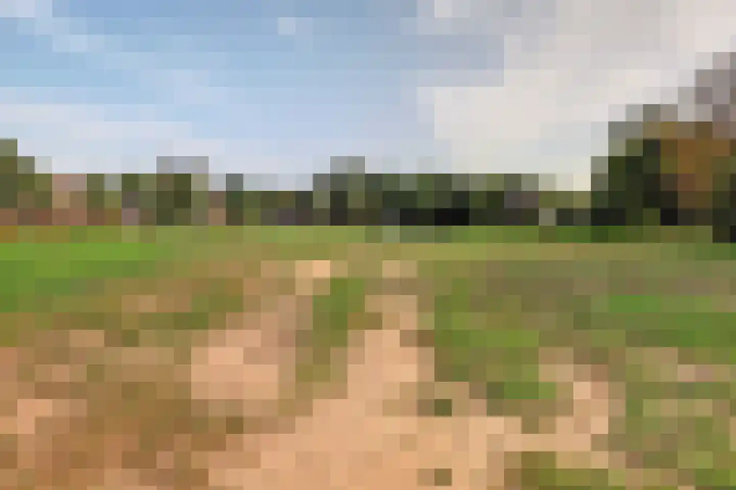 Dassenburcht 41 Cuijk thumbnail 44