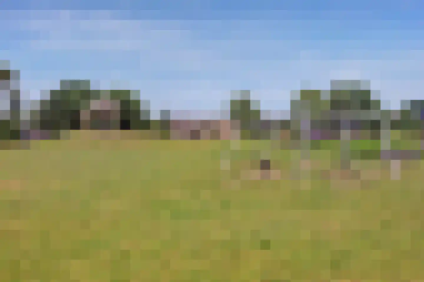 Dassenburcht 41 Cuijk thumbnail 45