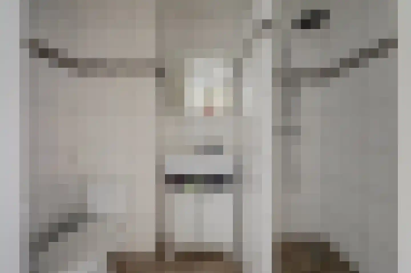 Dassenburcht 41 Cuijk thumbnail 5