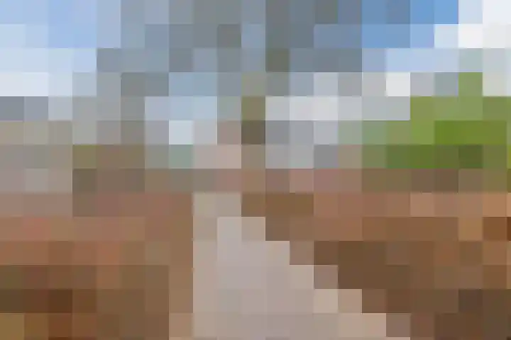 Dassenburcht 43 Cuijk thumbnail 24