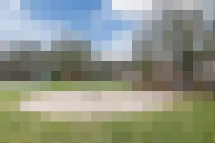 Dassenburcht 43 Cuijk thumbnail 25