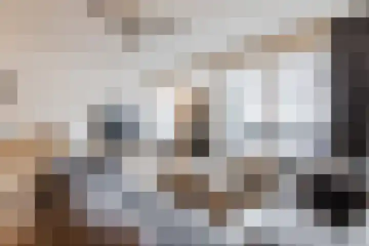 Dassenburcht 43 Cuijk thumbnail 6