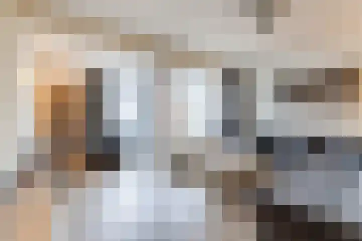 Dassenburcht 43 Cuijk thumbnail 7