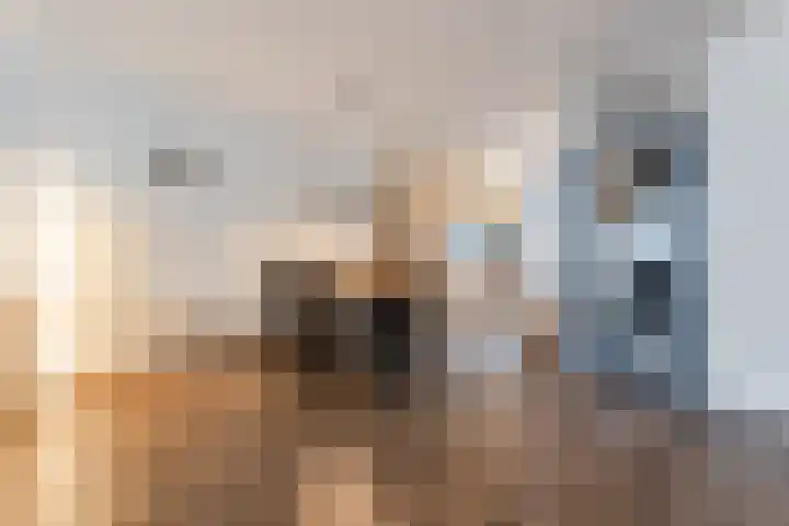 Dassenburcht 43 Cuijk thumbnail 9