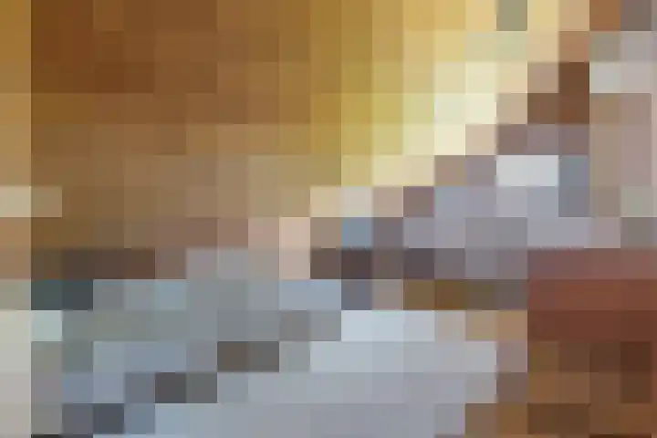 Dassenburcht 44 Cuijk thumbnail 14
