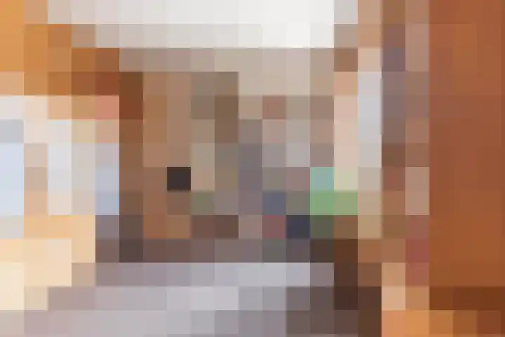 Dassenburcht 44 Cuijk thumbnail 15