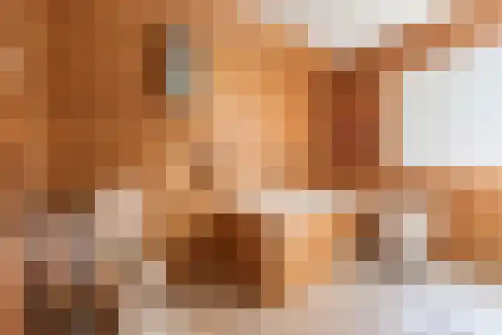 Dassenburcht 44 Cuijk thumbnail 17