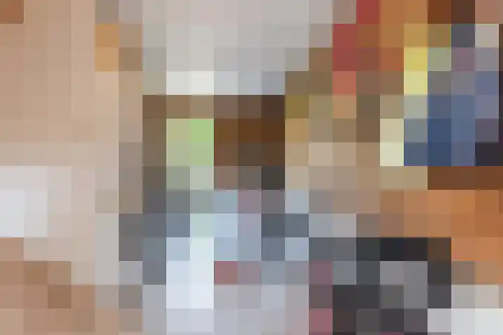 Dassenburcht 44 Cuijk thumbnail 18
