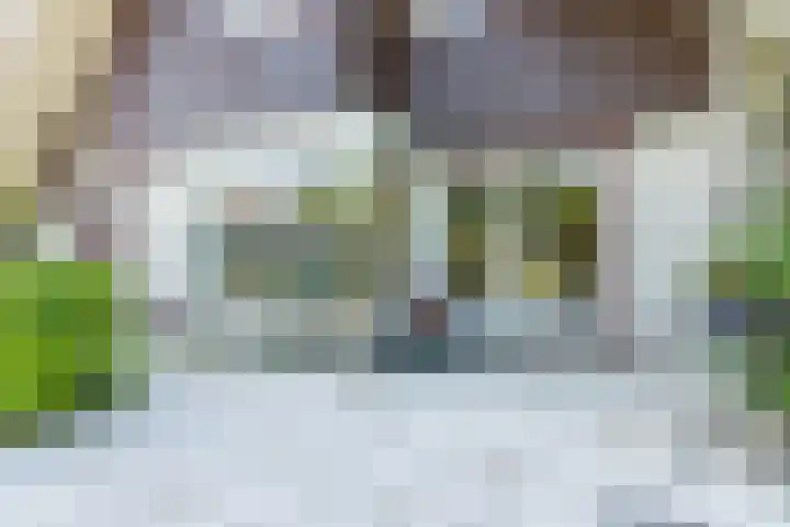 Dassenburcht 44 Cuijk thumbnail 19