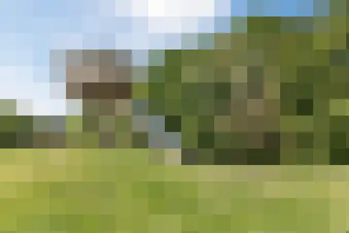 Dassenburcht 44 Cuijk thumbnail 21