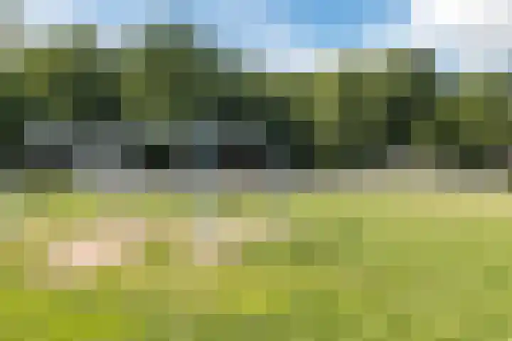 Dassenburcht 44 Cuijk thumbnail 22