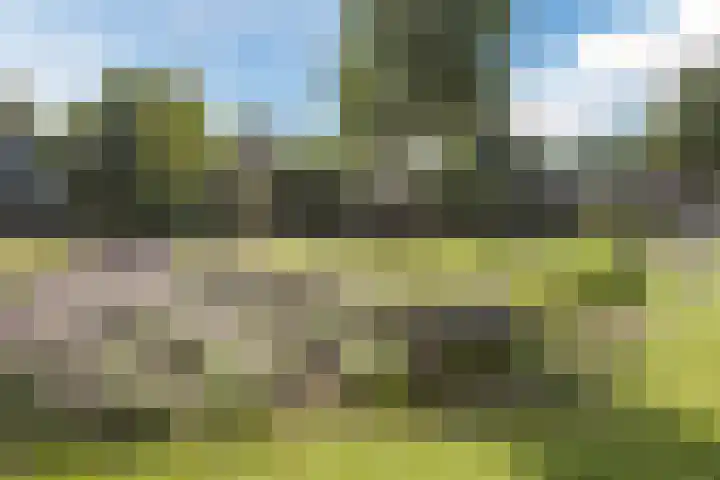Dassenburcht 44 Cuijk thumbnail 23
