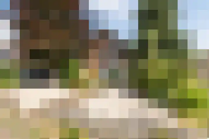 Dassenburcht 44 Cuijk thumbnail 29