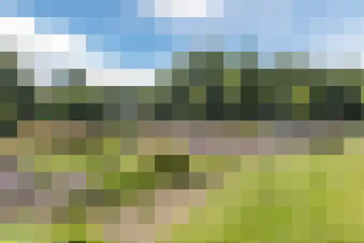 Dassenburcht 44 Cuijk thumbnail 5