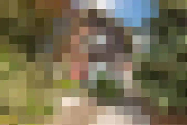 Dassenburcht 44 Cuijk thumbnail 6