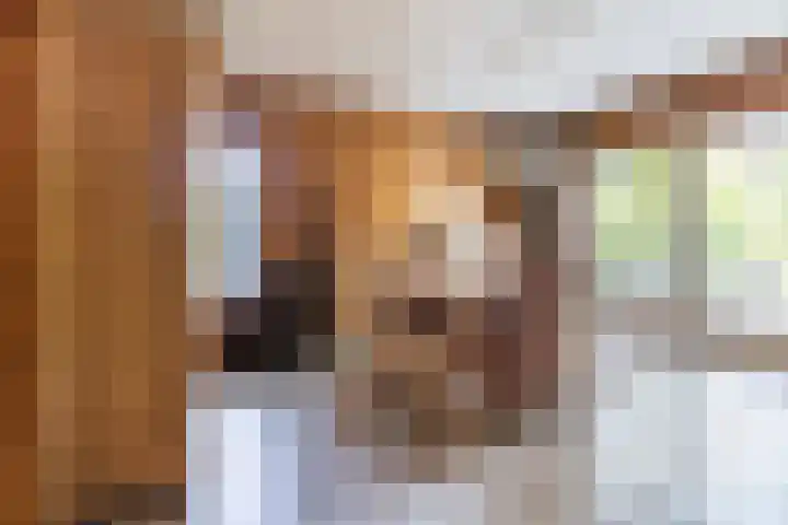 Dassenburcht 44 Cuijk thumbnail 8