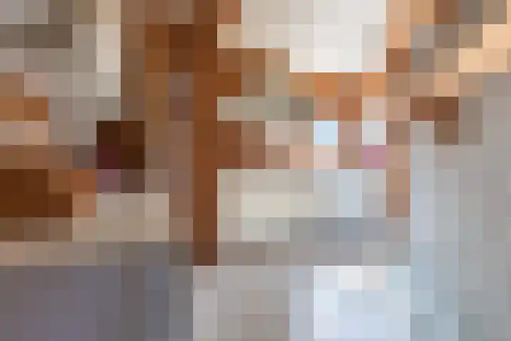 Dassenburcht 44 Cuijk thumbnail 9