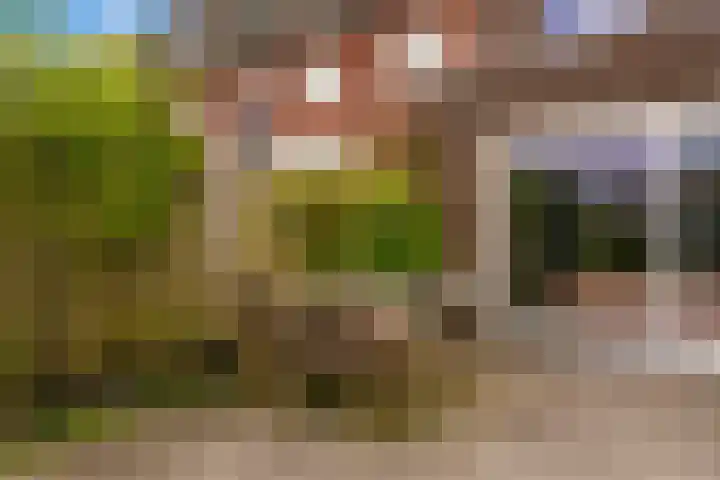 Dassenburcht 48 Vleuten thumbnail 10