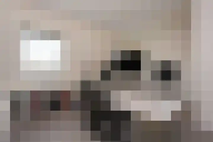 Dassenburcht 48 Vleuten thumbnail 22