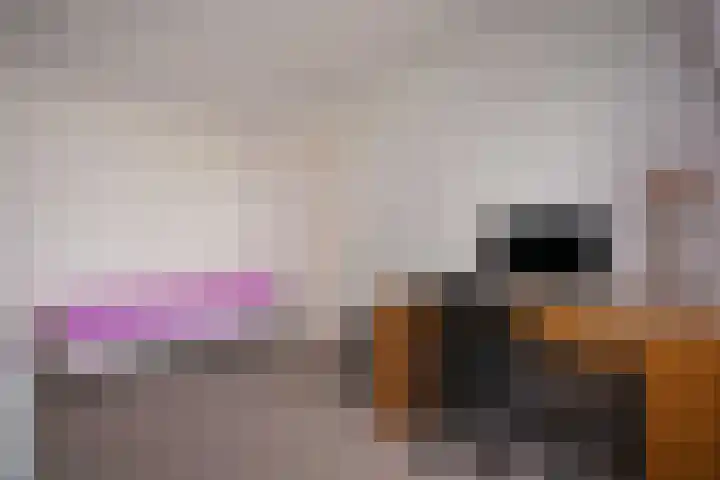Dassenburcht 48 Vleuten thumbnail 24