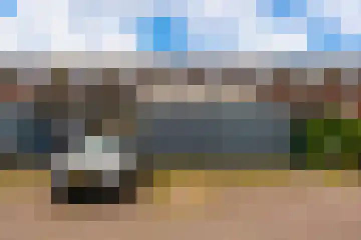 Dassenburcht 48 Vleuten thumbnail 27