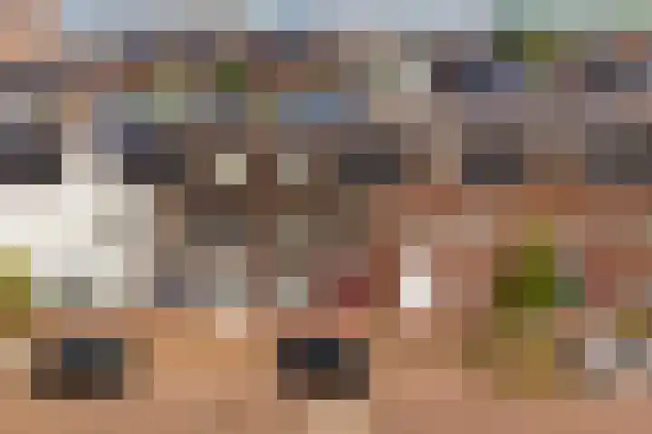 Dassenburcht 48 Vleuten thumbnail 29