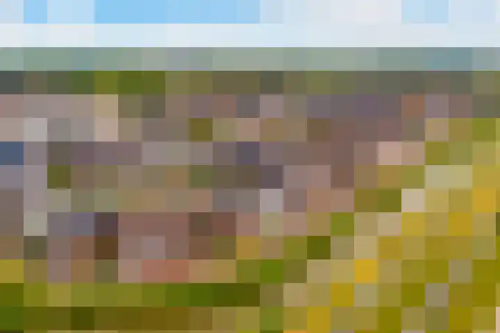 Dassenburcht 48 Vleuten thumbnail 30