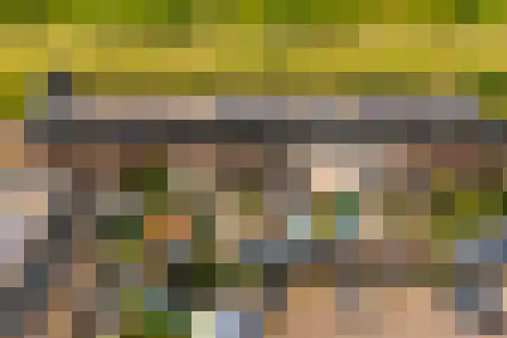 Dassenburcht 48 Vleuten thumbnail 31
