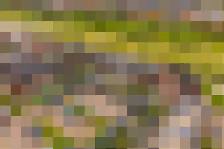 Dassenburcht 48 Vleuten thumbnail 32