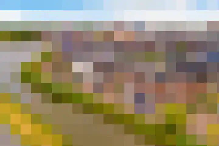 Dassenburcht 48 Vleuten thumbnail 33