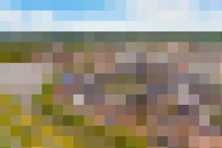 Dassenburcht 48 Vleuten thumbnail 34